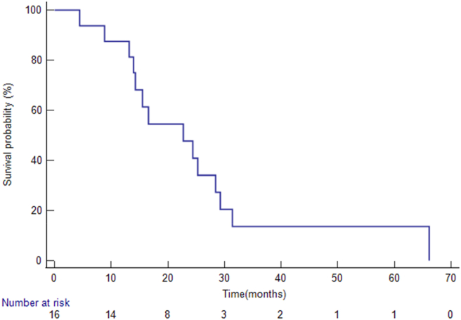 Figure 1