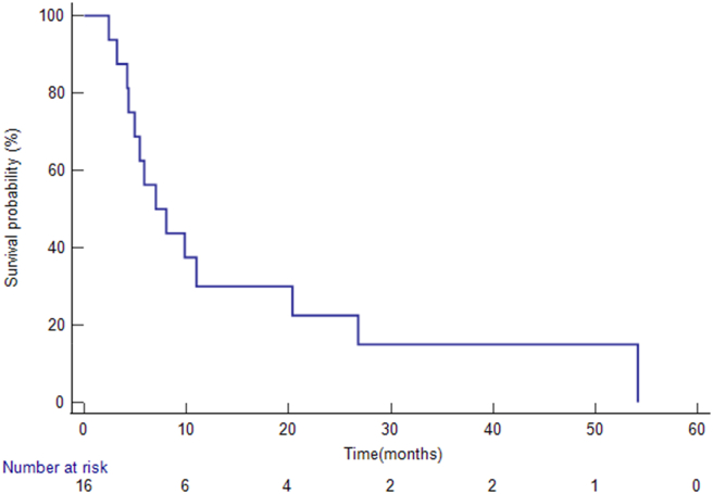 Figure 2