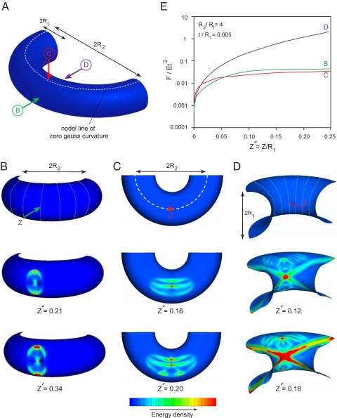 Fig. 3.