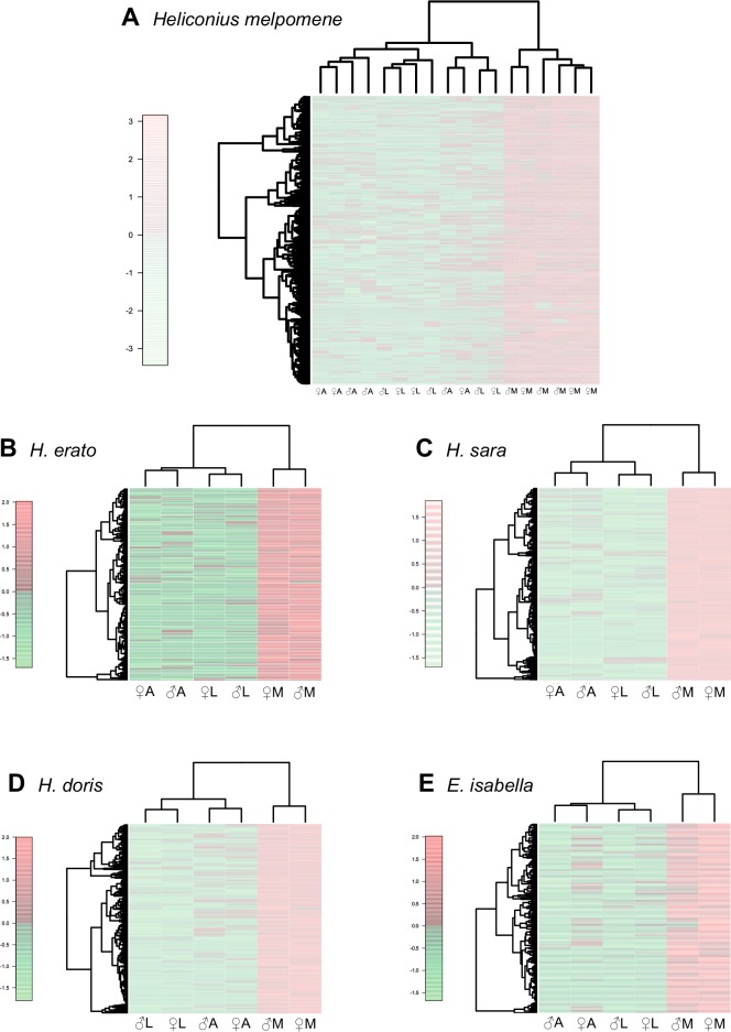 Fig. 2.—.