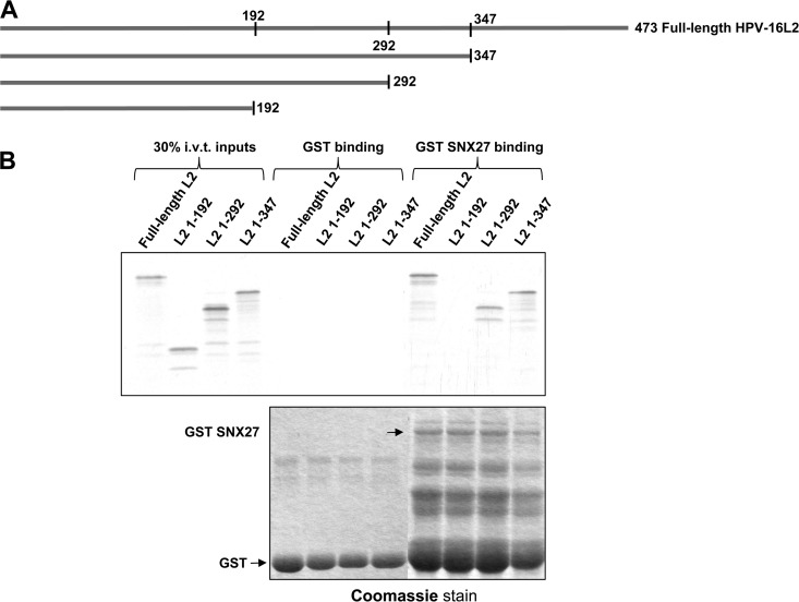 FIG 10