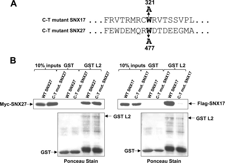 FIG 6