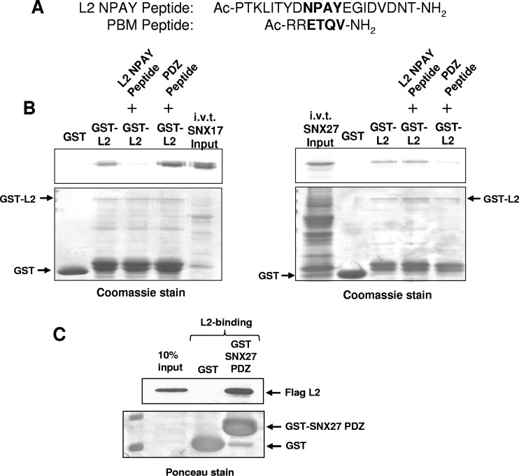 FIG 8