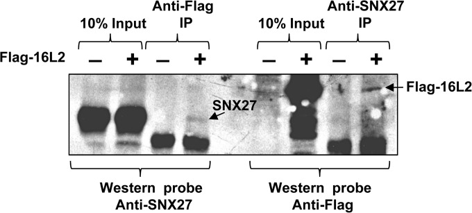 FIG 2