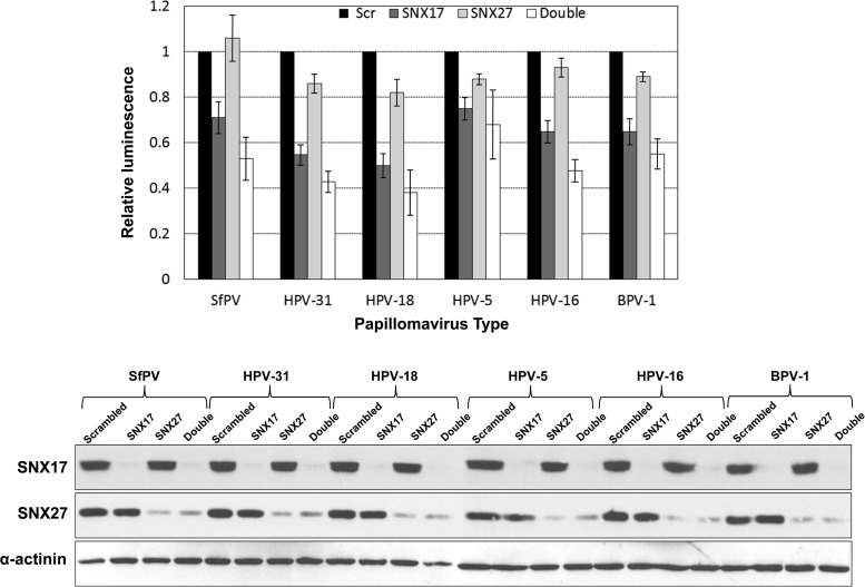 FIG 11