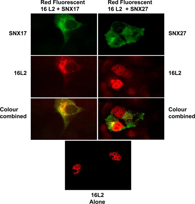 FIG 12