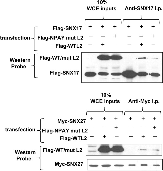 FIG 5