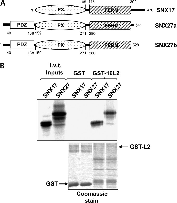 FIG 1