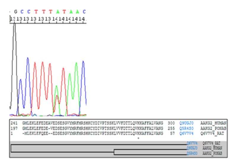 Figure 5.