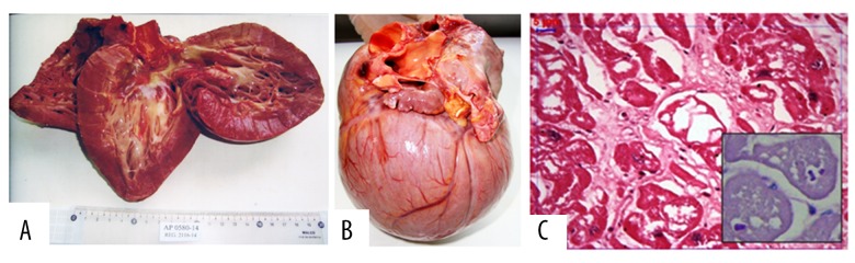 Figure 4.