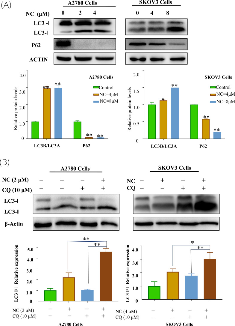 Fig. (4)