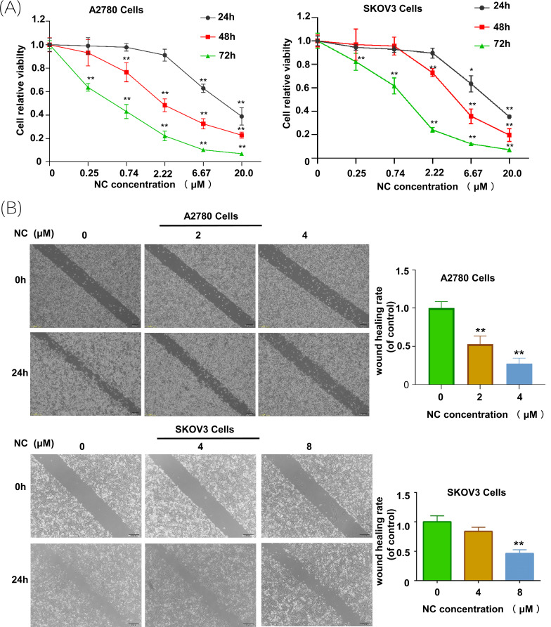 Fig. (1)