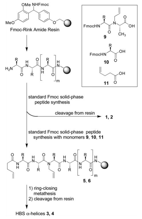 Scheme 1