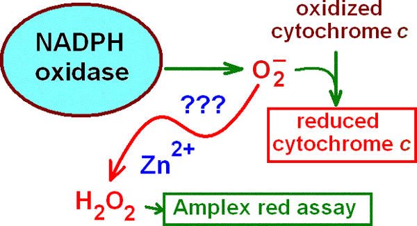 Figure 7.