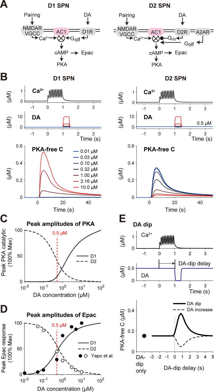 Fig 6