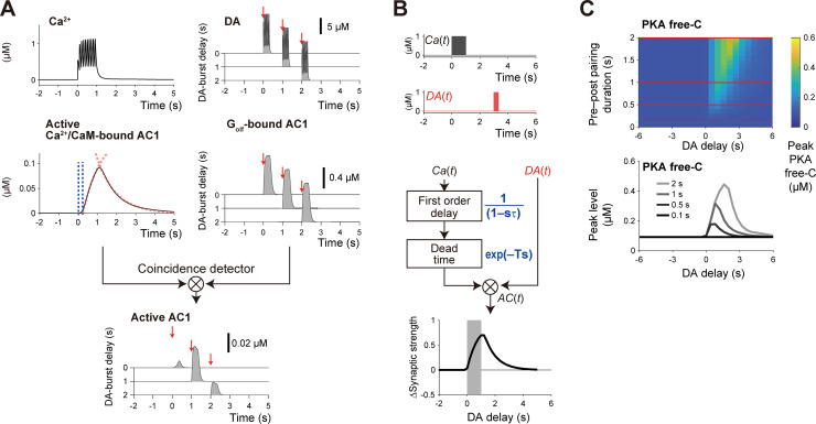 Fig 3