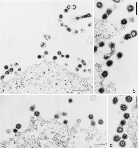 FIG. 7.