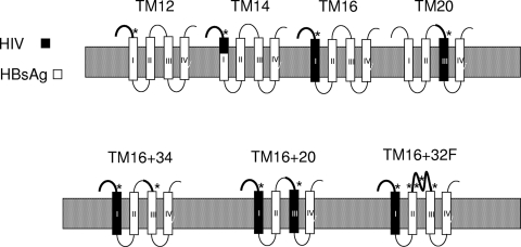 FIG. 6.