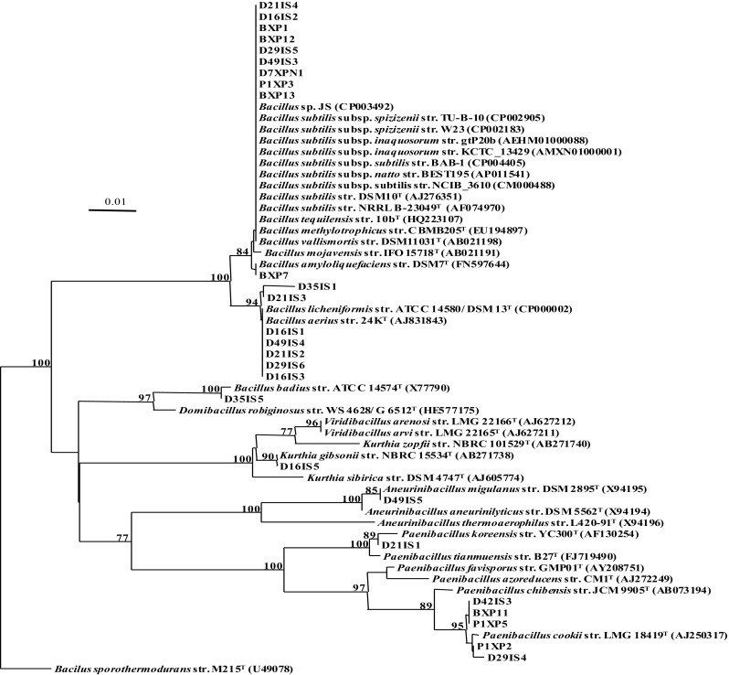 Fig. 1