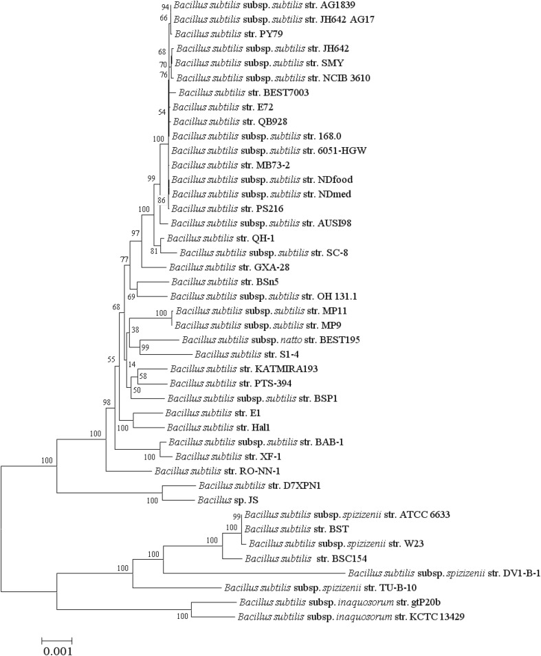 Fig. 6