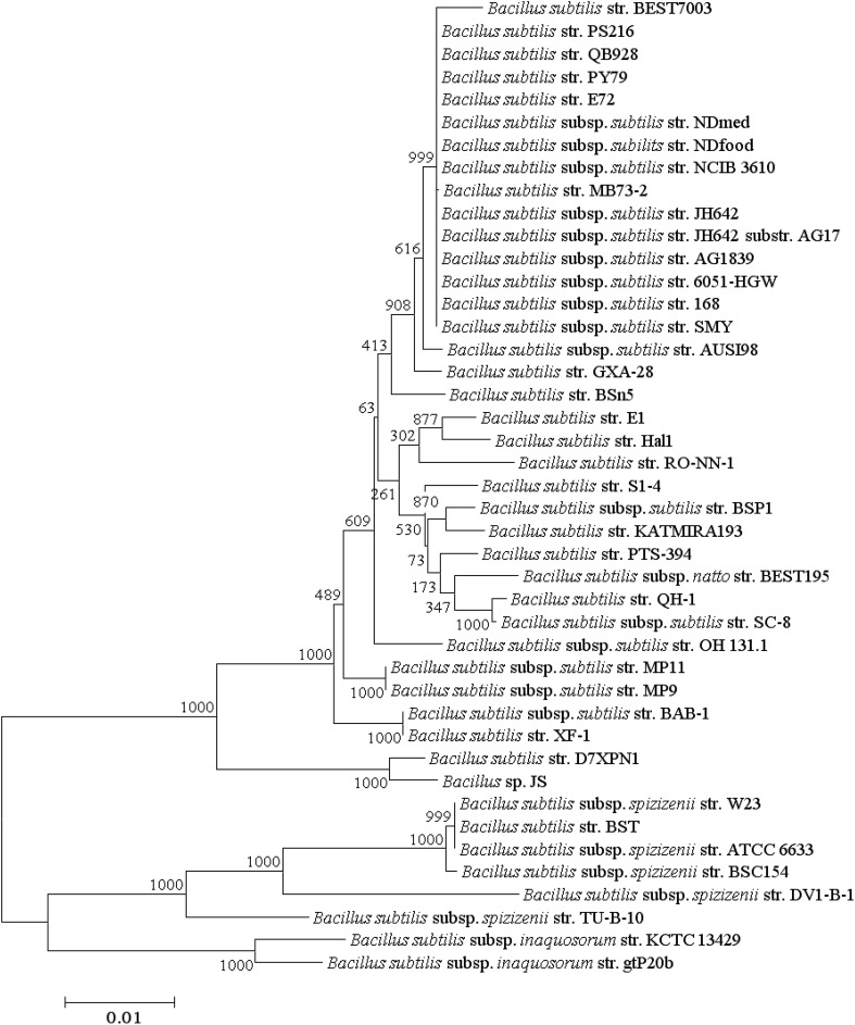 Fig. 7