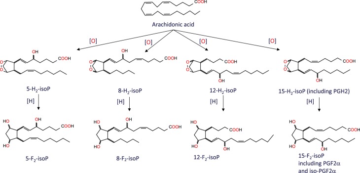 Figure 6.