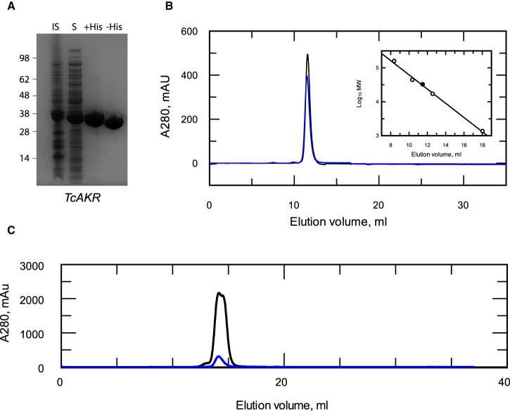 Figure 1.