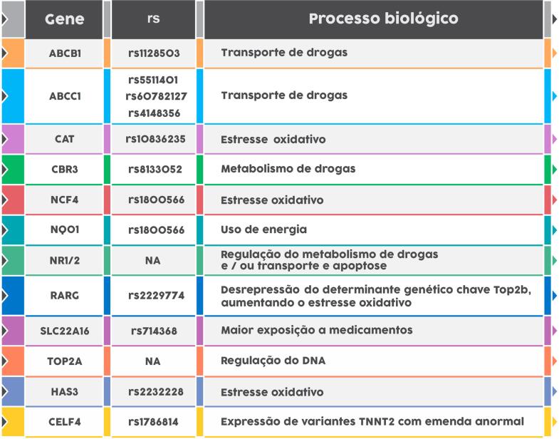 graphic file with name 0066-782X-abc-115-05-1006-t05.jpg