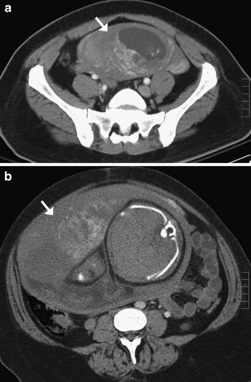 Fig. 8
