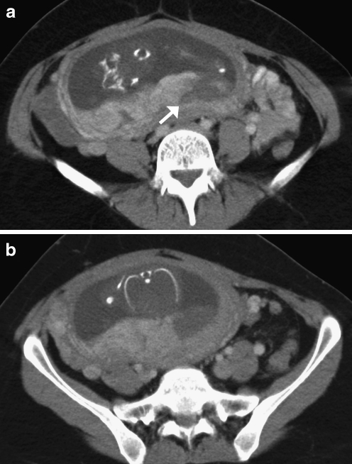 Fig. 7