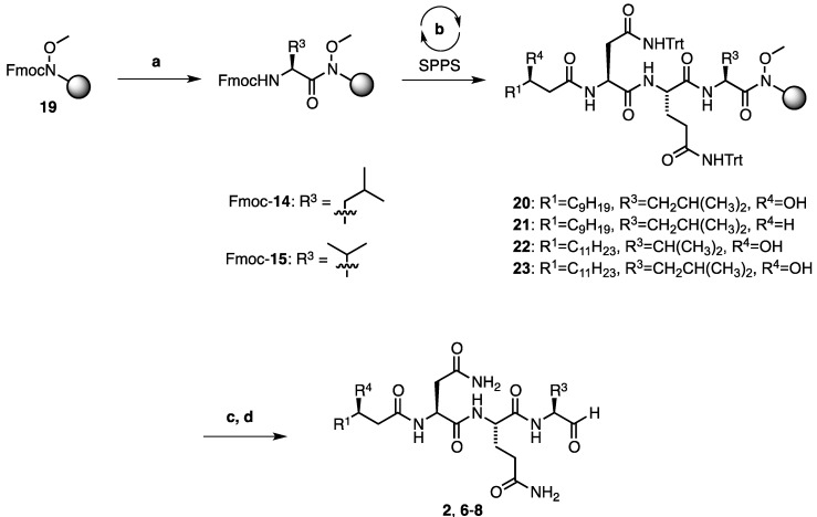 Scheme 2