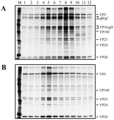 FIG. 6