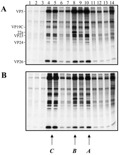 FIG. 4