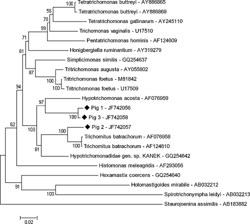 Fig. 3