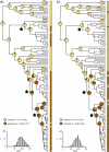 F<sc>IGURE</sc> 4.