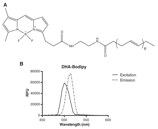 Fig. 1