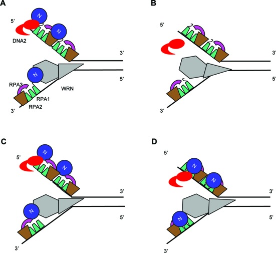 Figure 9.