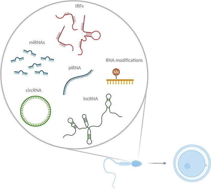 Figure 1: