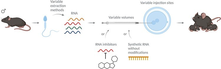 Figure 2: