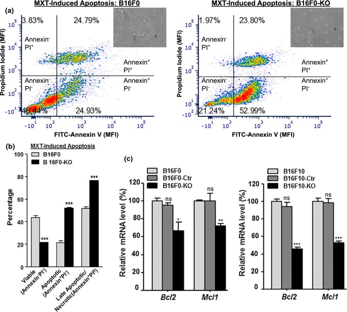 Figure 6