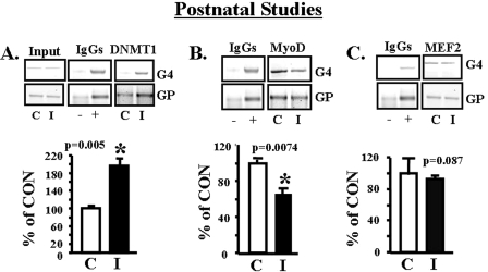 FIGURE 7.