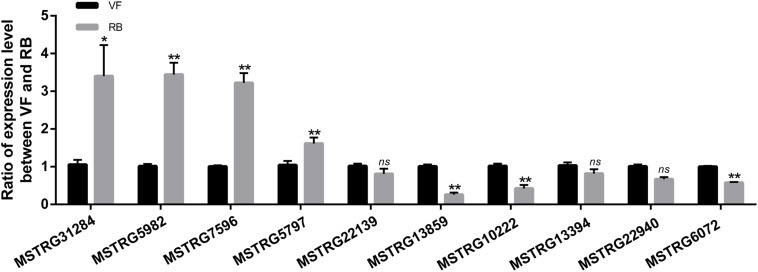 FIGURE 3