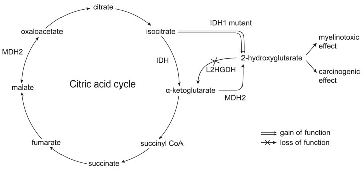 Fig 3.