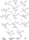 FIG 1