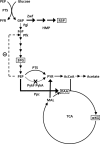 FIG. 1.