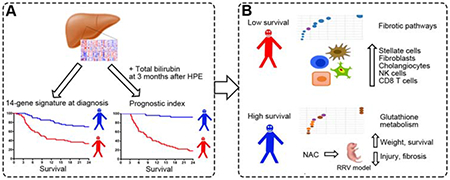 graphic file with name nihms-1531875-f0008.jpg