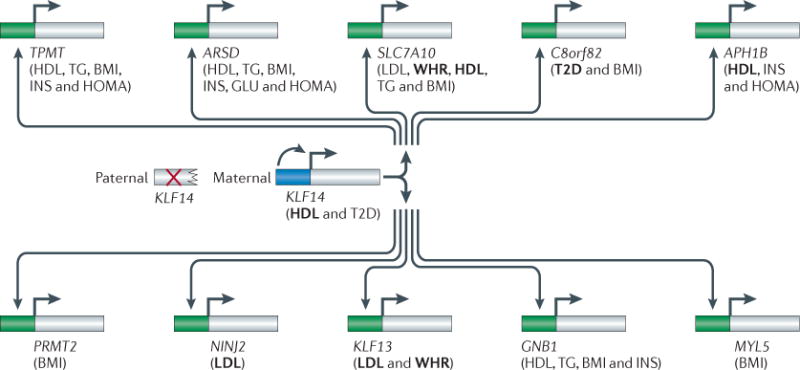 graphic file with name nihms551711f5.jpg