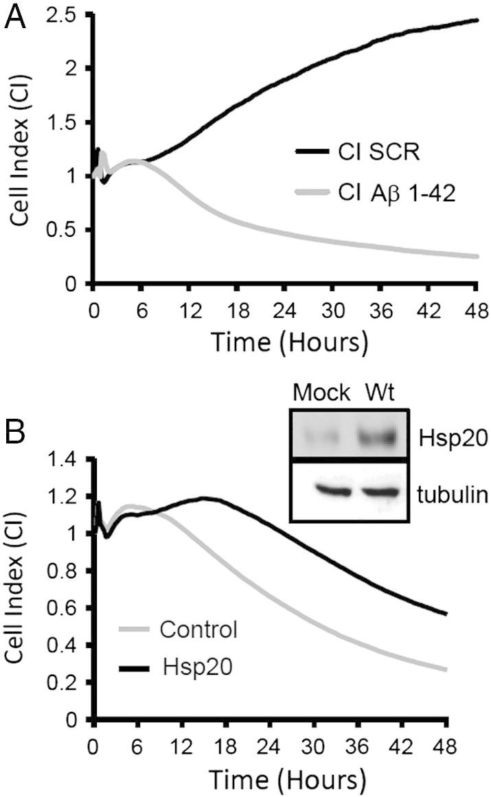 Fig. 4