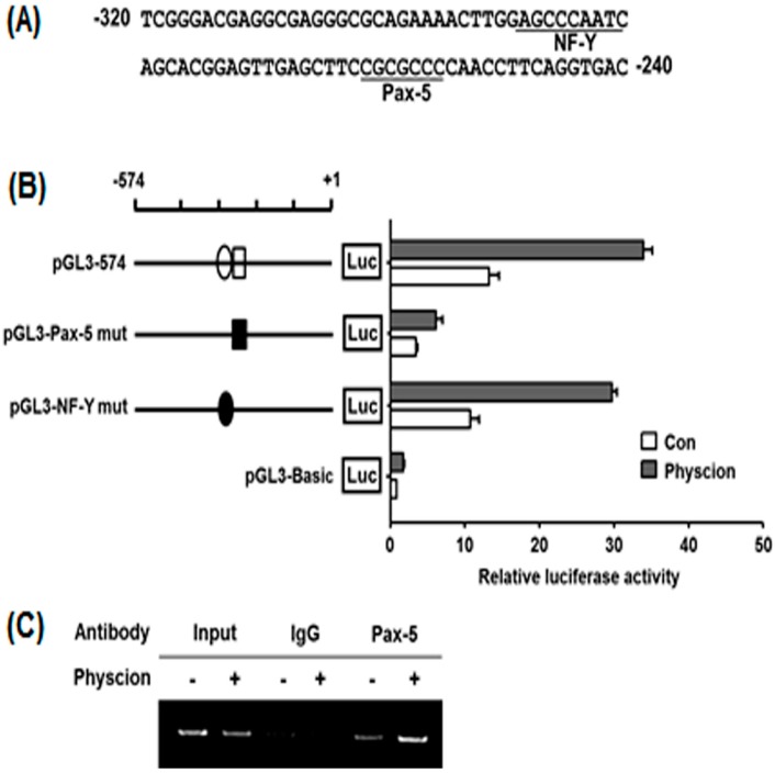 Figure 5