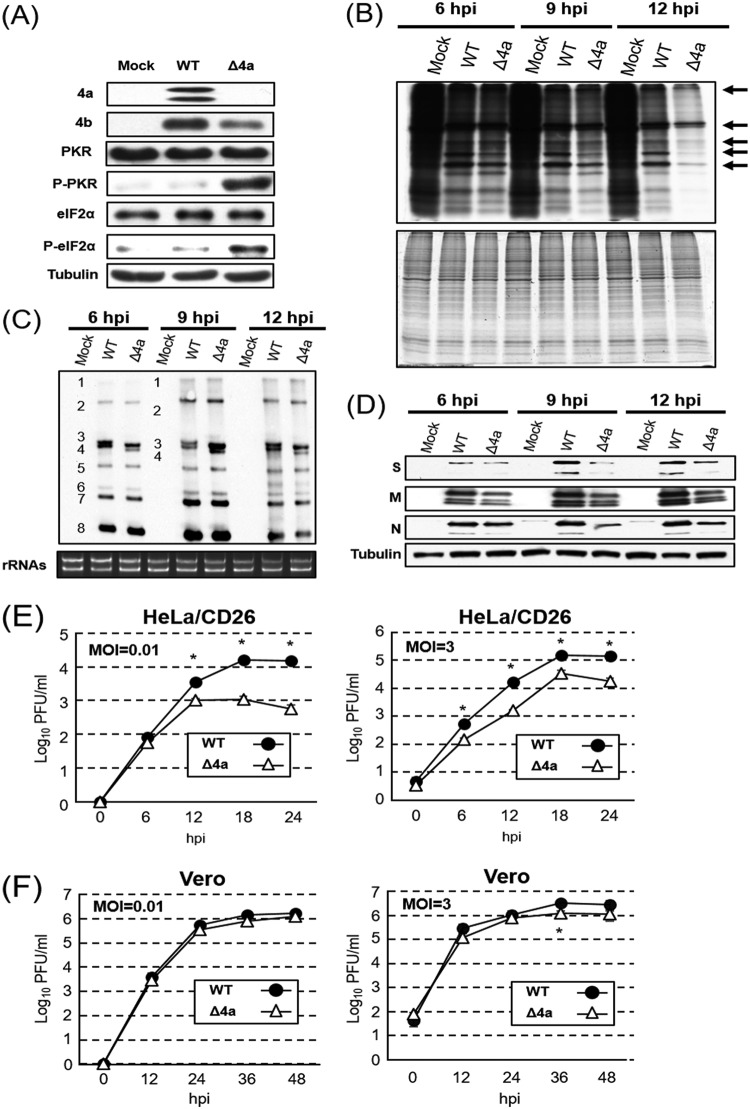 FIG 9